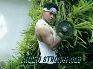 AIDEN_STRONGHOLD