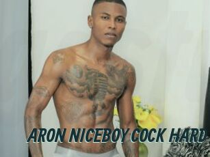 ARON_NICEBOY_COCK_HARD