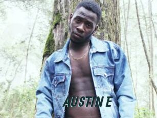 AUSTIN_E