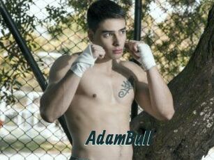 AdamBull