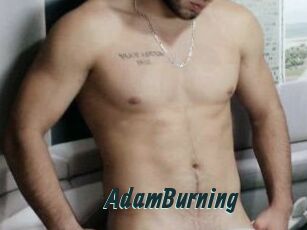 AdamBurning