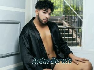 Aedus_Berwin