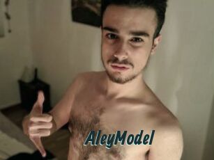 AleyModel