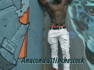 Anaconda11inchescock
