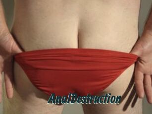 Anal_Destruction