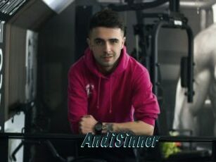 AndiSinner