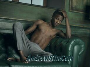 AndrewSlimCute