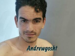 Andrewgosht