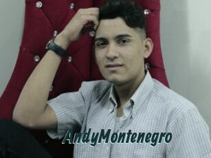 AndyMontenegro