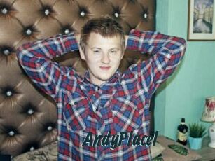 AndyPlacel