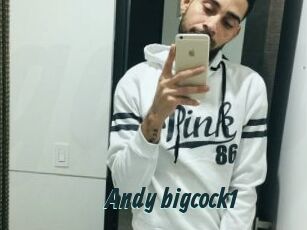 Andy_bigcock1