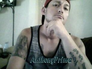 AnthonyPrima