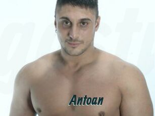 Antoan