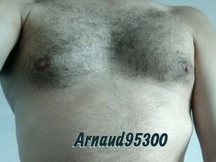 Arnaud95300