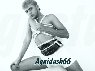 Agnidush66