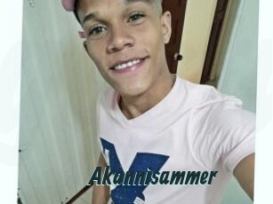 Akannisammer