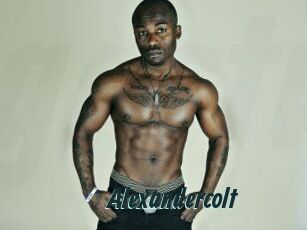Alexandercolt