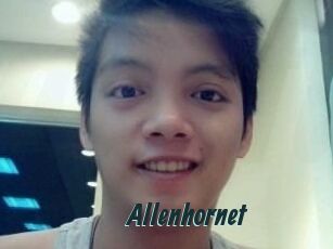Allen_hornet