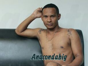 Anacondabig