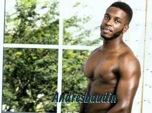Andresbaudin