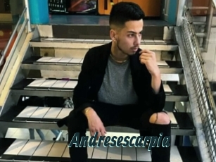 Andresescarpia