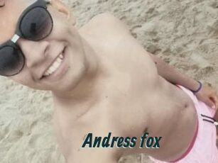 Andress_fox