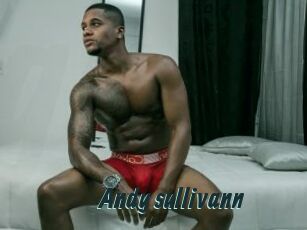 Andy_sullivann