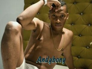 Andybony