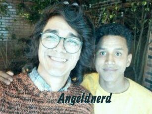 Angeldnerd