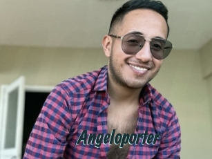 Angeloporter