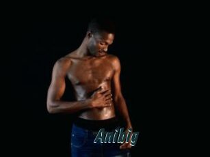 Anibig