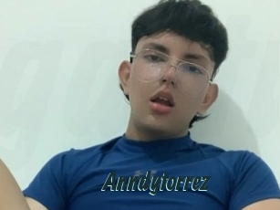 Anndytorrez