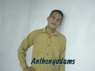 Anthonyadams