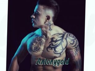 Antonygold