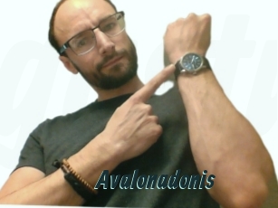 Avalonadonis