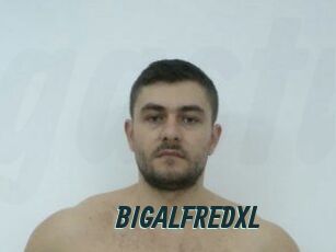 BIGALFREDXL