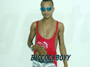 BIGCOCKBOYY
