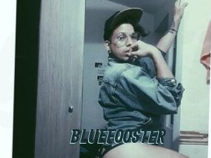 BLUEFOOSTER