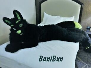 BaniBun
