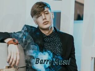 Barry_Masel