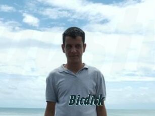 Bicdick