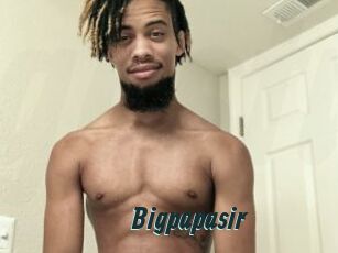 Bigpapasir