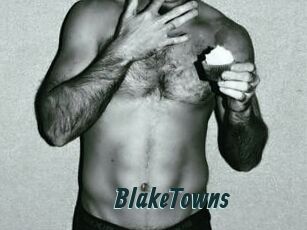 BlakeTowns