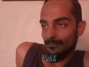 BobX