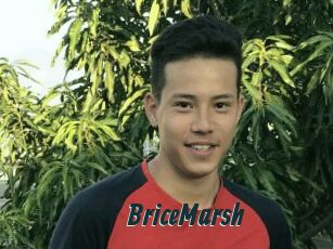 BriceMarsh