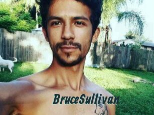 Bruce_Sullivan