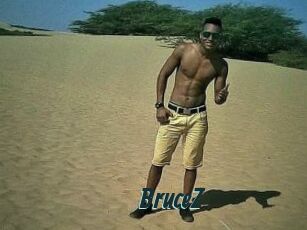 BruceZ