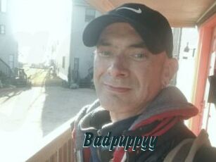 Badpuppyy