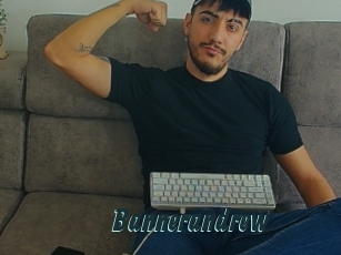 bannerandrew Gays Tube