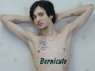 Bernicute